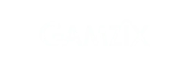 Gamzix fournisseur de jeux